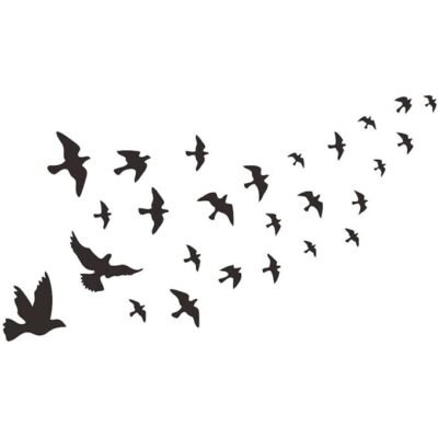 Bird Wall Decal - Flying Sky Wings PVC Removable Wall Sticker